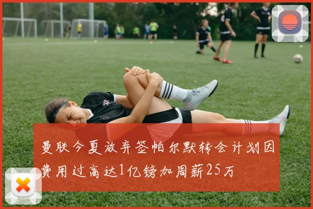 曼联今夏放弃签帕尔默转会计划因费用过高达1亿镑加周薪25万