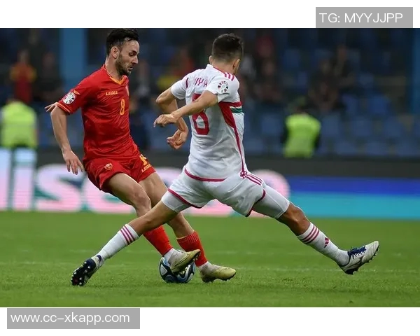 葡萄牙在世欧预F组中豪取三连胜领先匈牙利五分稳居榜首 葡萄牙在世欧预F组中豪取三连胜领先匈牙利五分稳居榜首