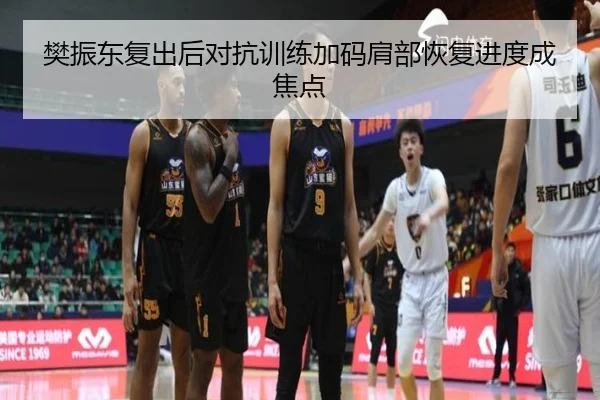 樊振东复出后对抗训练加码肩部恢复进度成焦点（xingkongsport）